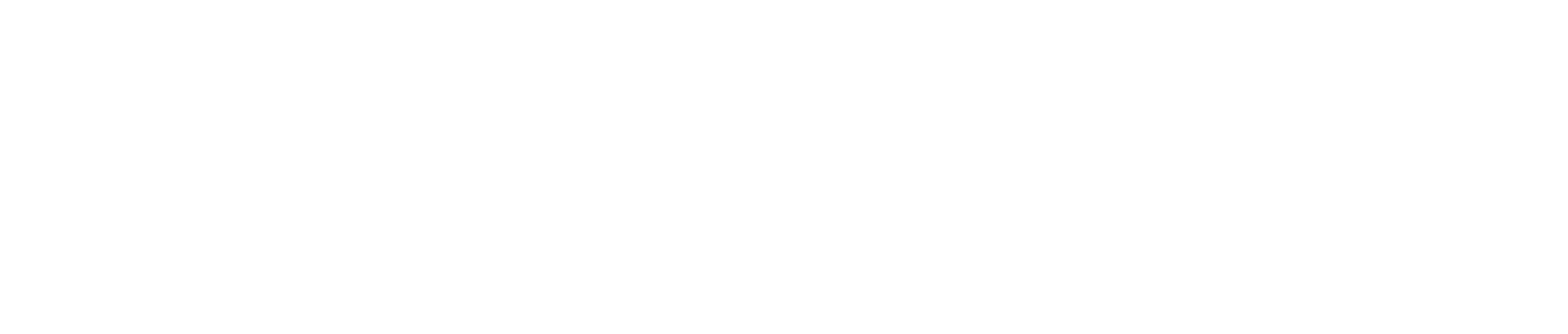 Inforcer Logo White